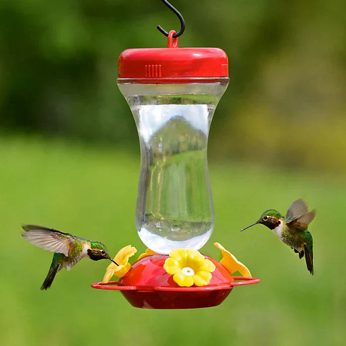 How Long Is Hummingbird Food Good For and How to Store It Safely
